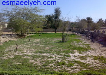 منظره های زیبا و دیدنی از گیاهدان