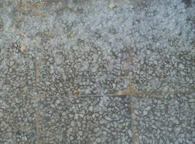 بارندگی شدید و تگرگ در گیاهدان و روستاهای قشم