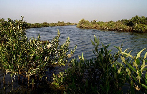 روستای طبل