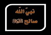 صالح عليه السلام