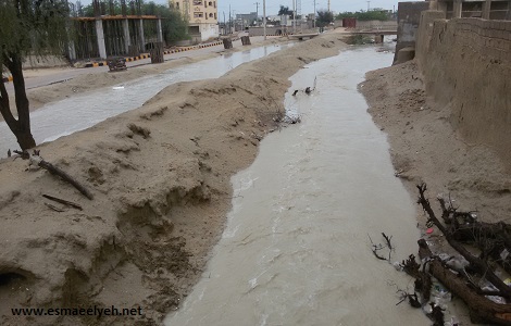 تصاویری از نزول رحمت الهی در گیاهدان