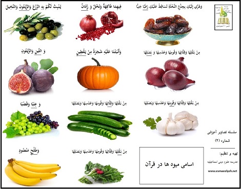 اسامی میوه ها در قرآن